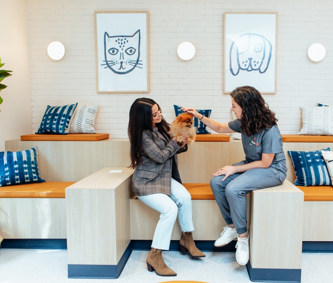 Image showcasing Upper West Side at 112th Street Animal Hospital & Vet Clinic | Bond Vet